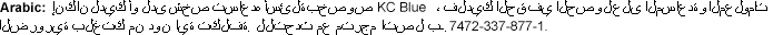 Arabic Information